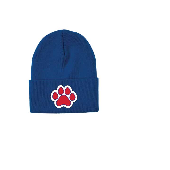 Lincoln Alexander School Winter Hats